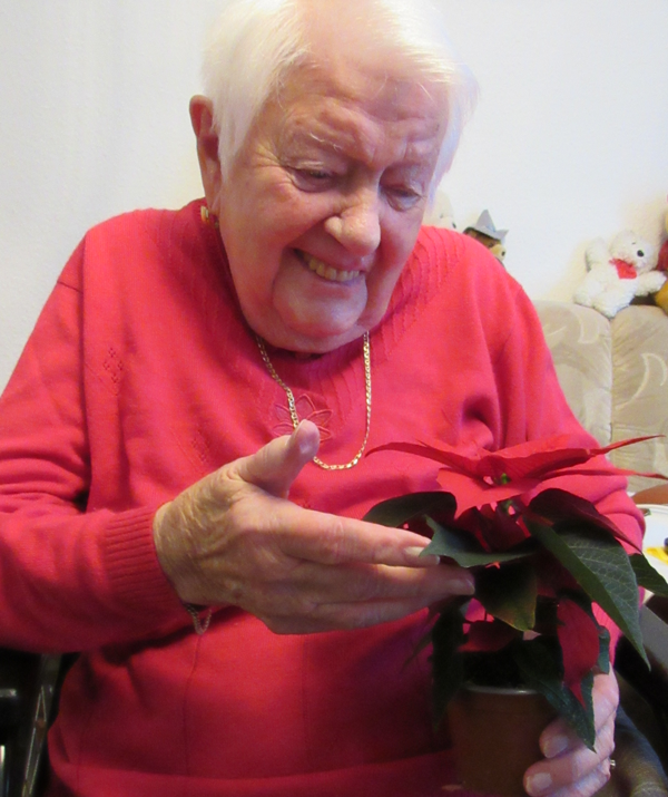 Frau mit rotem Pullover und weißen Haaren hält Weihnachtsstern in der Hand und lächelt